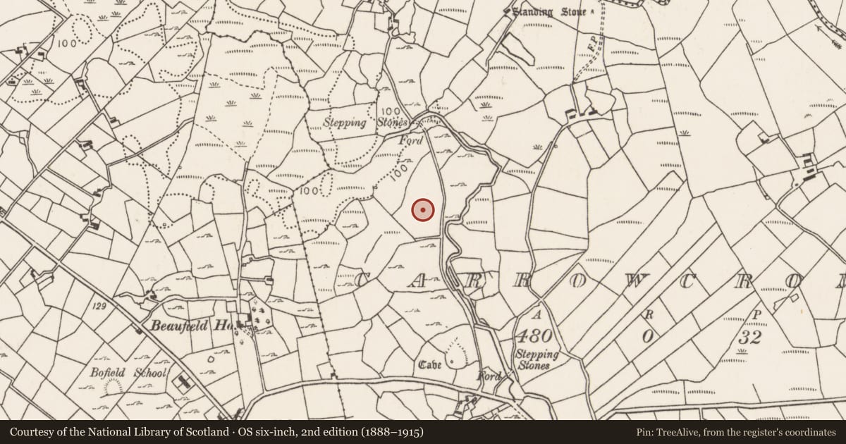 Ordnance Survey six-inch map, 2nd edition (1888–1915) covering the location of Ringfort - rath, Carrowcrom, County Mayo, with a pin at the register's coordinates
