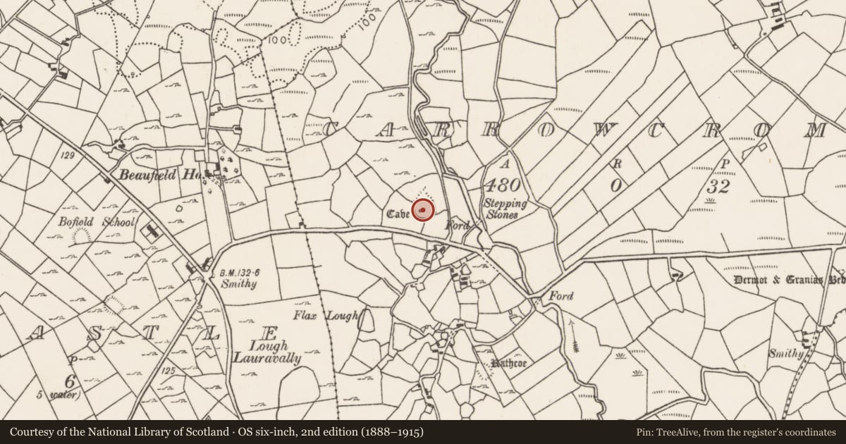 Ordnance Survey six-inch map, 2nd edition (1888–1915) covering the location of Ringfort - rath, Carrowcrom, County Mayo, with a pin at the register's coordinates