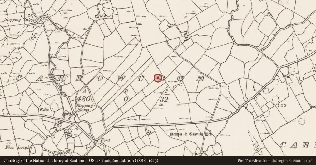 Ordnance Survey six-inch map, 2nd edition (1888–1915) covering the location of Megalithic tomb - unclassified, Carrowcrom, County Mayo, with a pin at the register's coordinates