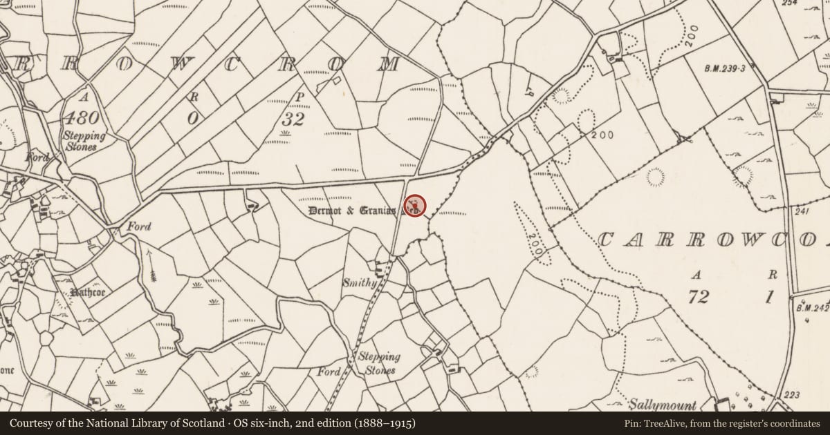 Ordnance Survey six-inch map, 2nd edition (1888–1915) covering the location of Megalithic tomb - wedge tomb, Carrowcrom, County Mayo, with a pin at the register's coordinates