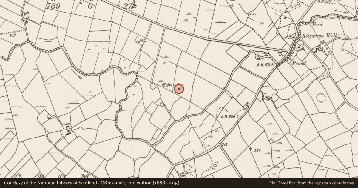 Ordnance Survey six-inch map, 2nd edition (1888–1915) covering the location of Ringfort - rath, Carrowreagh (Gallen By., Kilgarvan Par.), County Mayo, with a pin at the register's coordinates