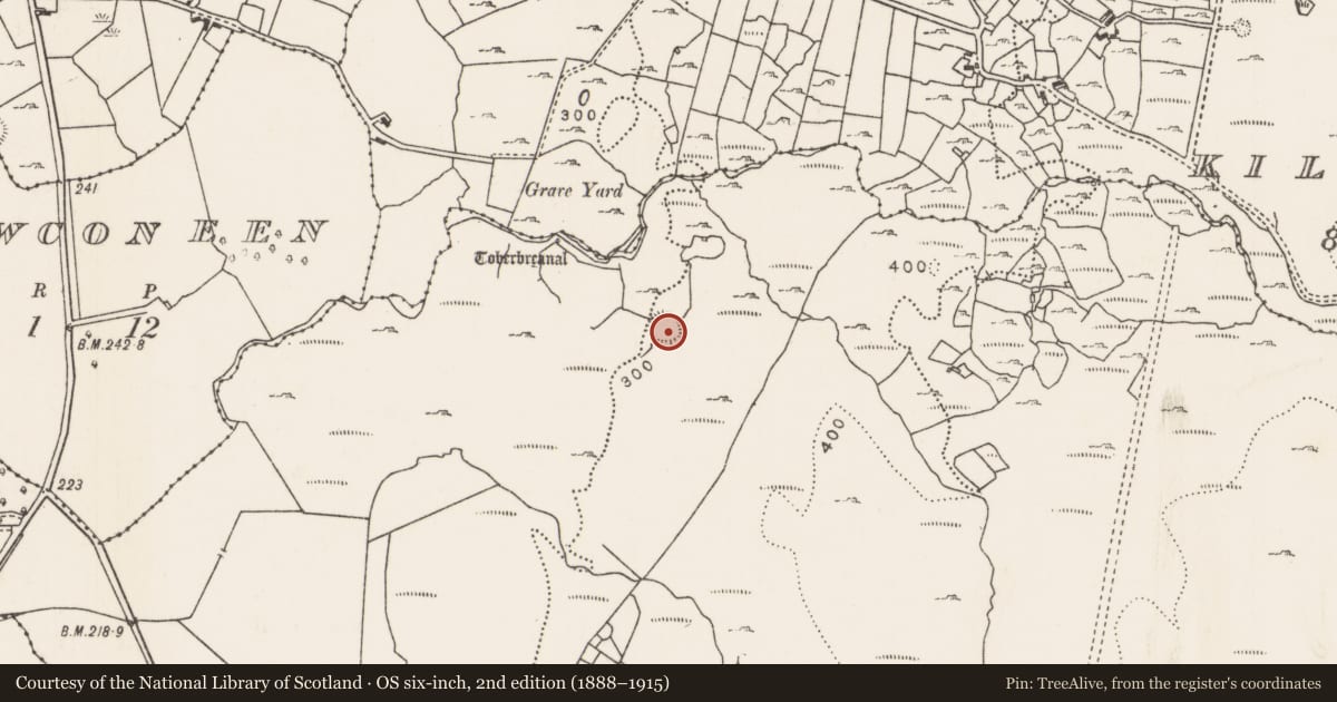 Ordnance Survey six-inch map, 2nd edition (1888–1915) covering the location of Ringfort - rath, Ellagh Beg, County Mayo, with a pin at the register's coordinates