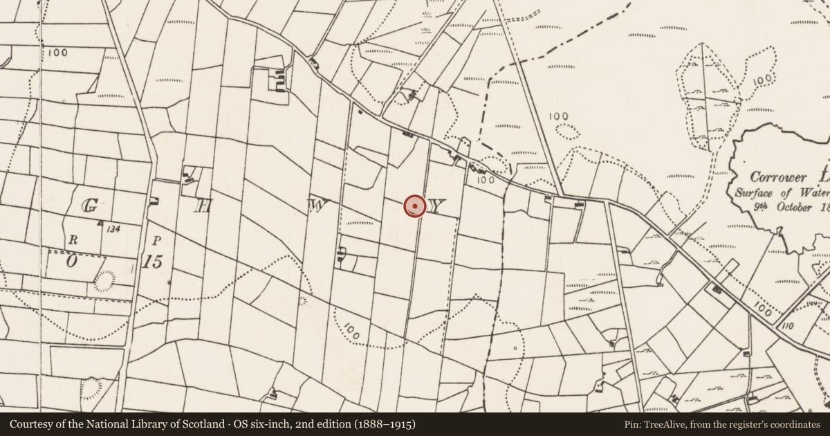 Ordnance Survey six-inch map, 2nd edition (1888–1915) covering the location of Ringfort - rath, Breaghwy, County Mayo, with a pin at the register's coordinates