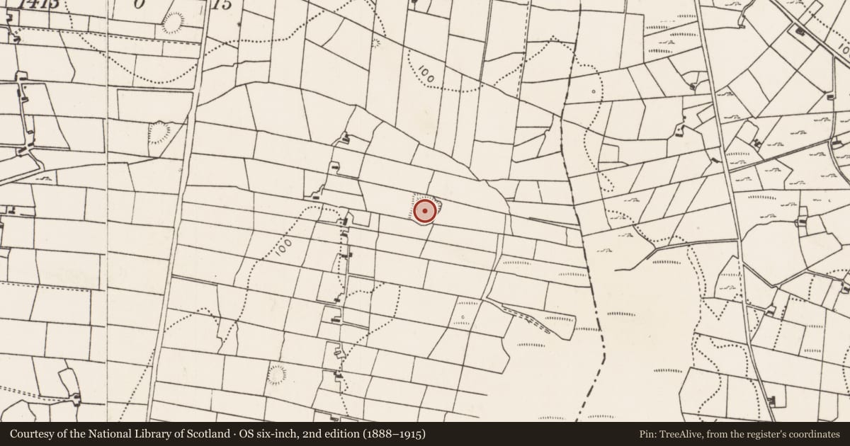 Ordnance Survey six-inch map, 2nd edition (1888–1915) covering the location of Ringfort - rath, Breaghwy, County Mayo, with a pin at the register's coordinates