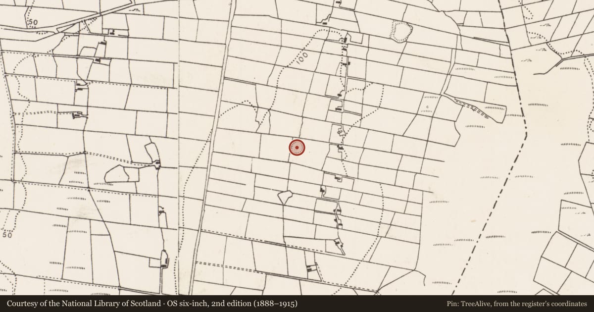 Ordnance Survey six-inch map, 2nd edition (1888–1915) covering the location of Ringfort - rath, Breaghwy, County Mayo, with a pin at the register's coordinates