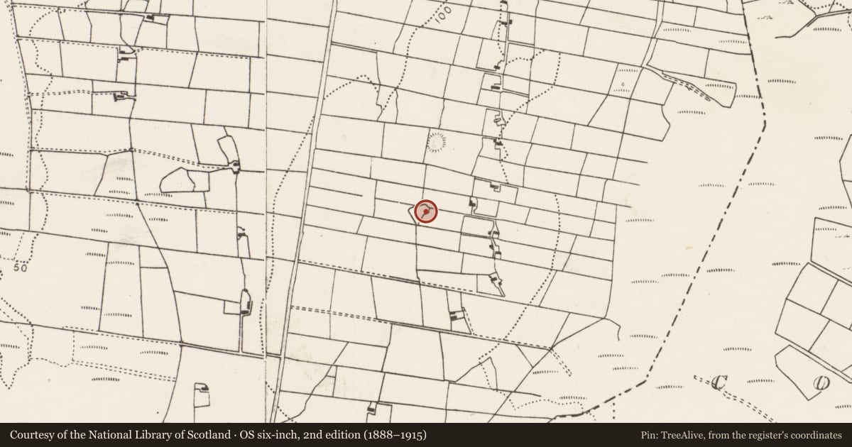 Ordnance Survey six-inch map, 2nd edition (1888–1915) covering the location of Ringfort - rath, Breaghwy, County Mayo, with a pin at the register's coordinates