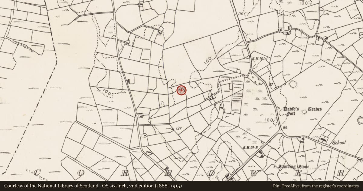 Ordnance Survey six-inch map, 2nd edition (1888–1915) covering the location of Enclosure, Corrower, County Mayo, with a pin at the register's coordinates