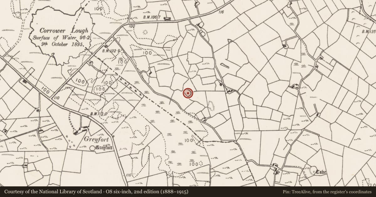 Ordnance Survey six-inch map, 2nd edition (1888–1915) covering the location of Ringfort - rath, Carrowcastle (Gallen By., Kilgarvan Par.), County Mayo, with a pin at the register's coordinates