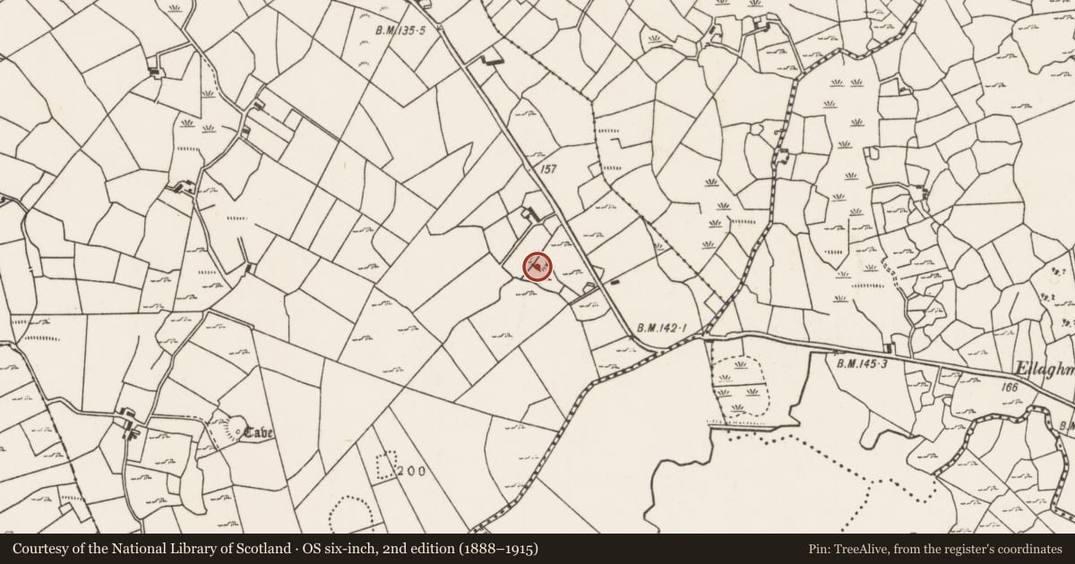Ordnance Survey six-inch map, 2nd edition (1888–1915) covering the location of Ringfort - rath, Carrowcastle (Gallen By., Kilgarvan Par.), County Mayo, with a pin at the register's coordinates