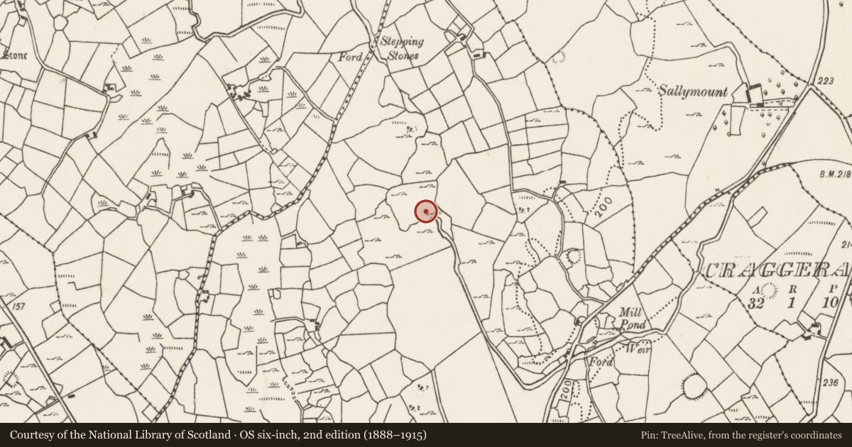 Ordnance Survey six-inch map, 2nd edition (1888–1915) covering the location of Ringfort - rath, Ellagh More, County Mayo, with a pin at the register's coordinates