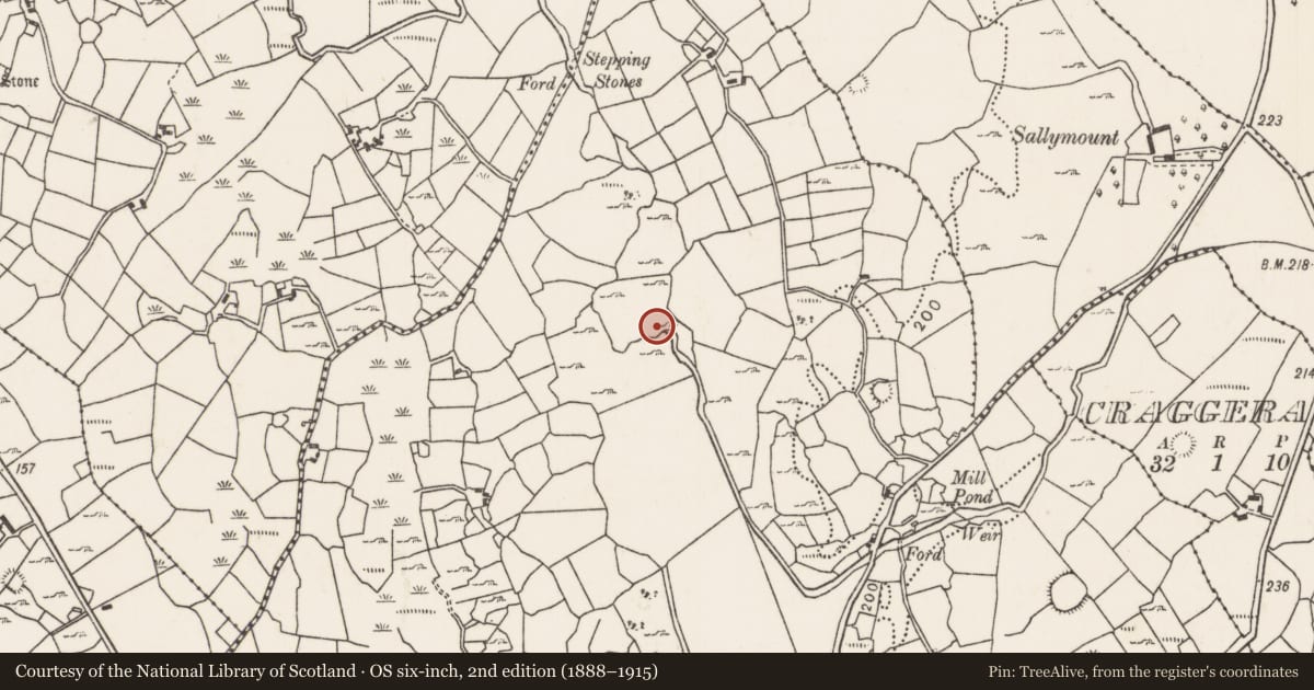 Ordnance Survey six-inch map, 2nd edition (1888–1915) covering the location of Bullaun stone, Ellagh More, County Mayo, with a pin at the register's coordinates