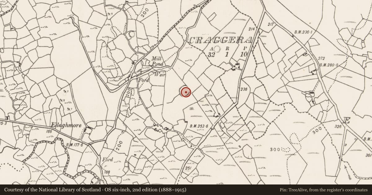 Ordnance Survey six-inch map, 2nd edition (1888–1915) covering the location of Ringfort - rath, Ellagh More, County Mayo, with a pin at the register's coordinates