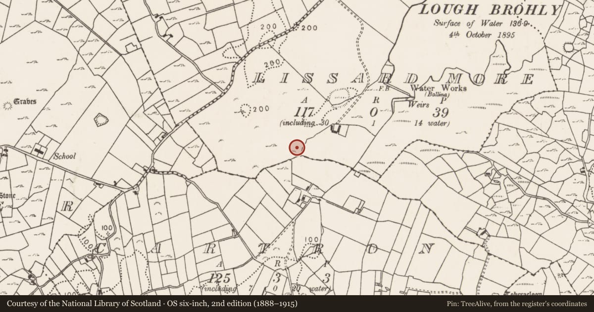 Ordnance Survey six-inch map, 2nd edition (1888–1915) covering the location of Standing stone, Lissard More, County Mayo, with a pin at the register's coordinates