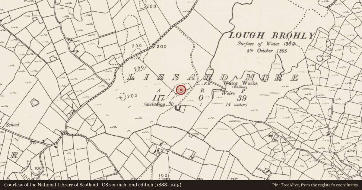 Ordnance Survey six-inch map, 2nd edition (1888–1915) covering the location of Ringfort - rath, Lissard More, County Mayo, with a pin at the register's coordinates