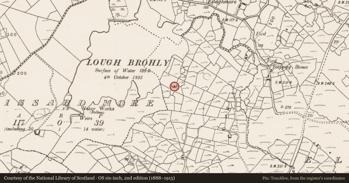 Ordnance Survey six-inch map, 2nd edition (1888–1915) covering the location of Ringfort - unclassified, Graffy (Gallen By., Kilgarvan Par.), County Mayo, with a pin at the register's coordinates