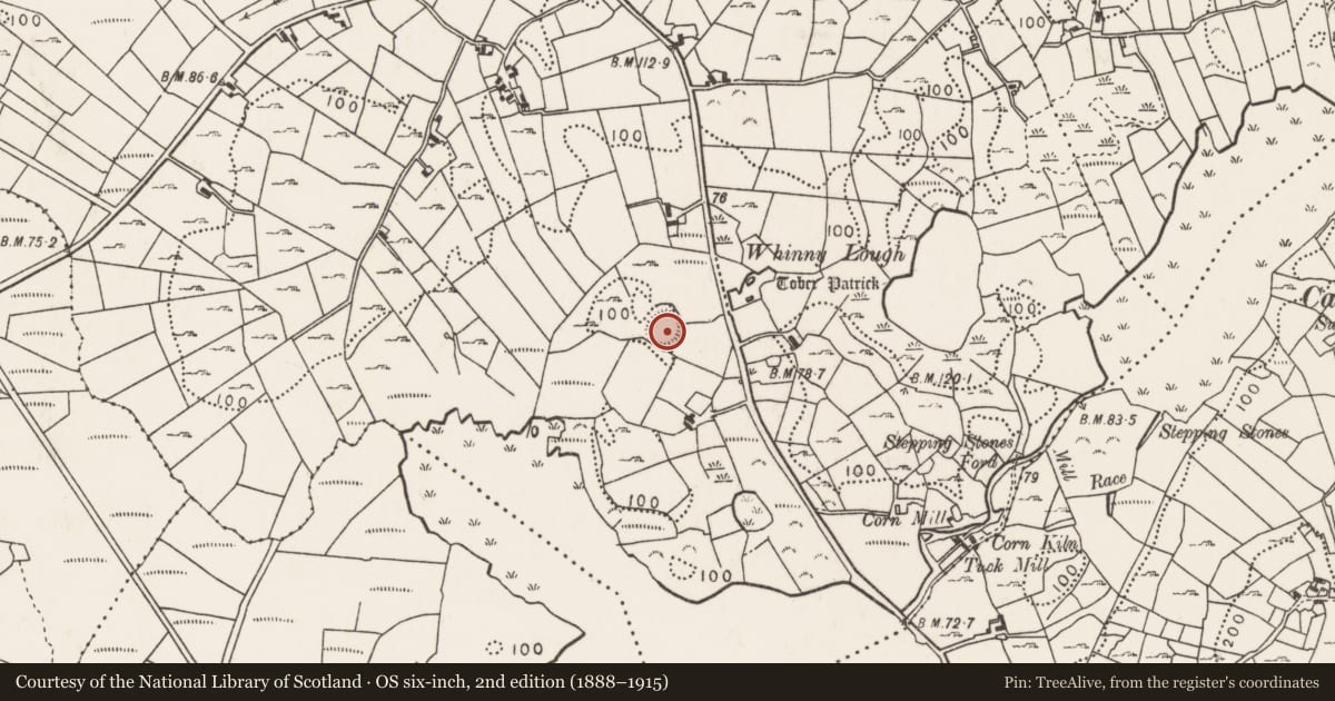 Ordnance Survey six-inch map, 2nd edition (1888–1915) covering the location of Ringfort - rath, Corrower, County Mayo, with a pin at the register's coordinates