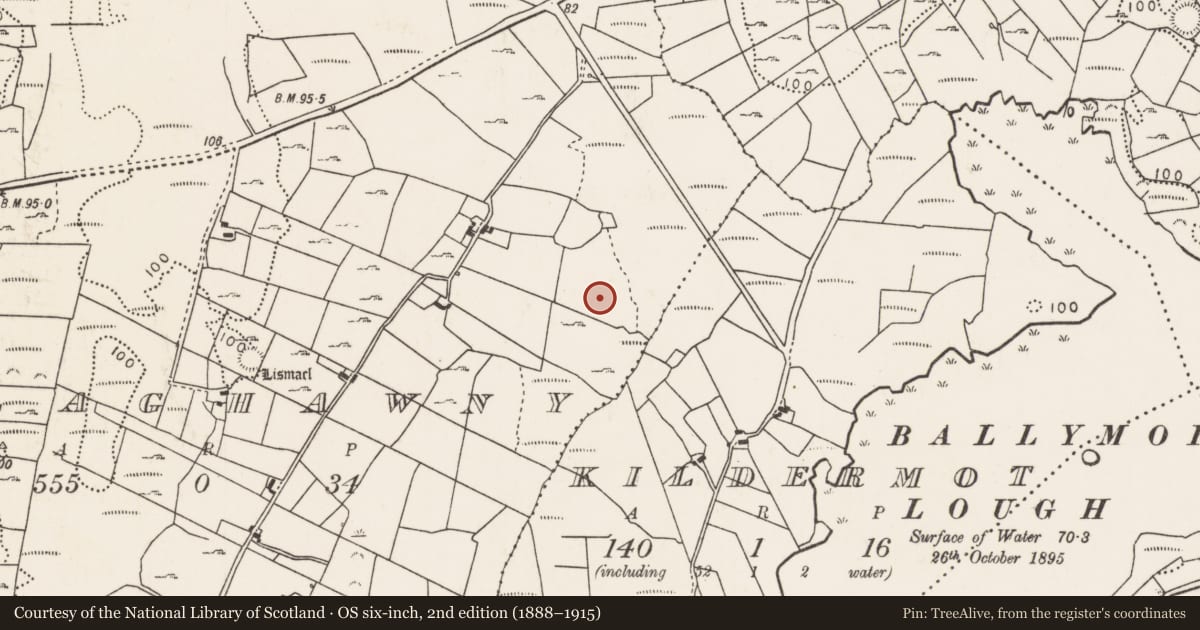 Ordnance Survey six-inch map, 2nd edition (1888–1915) covering the location of Enclosure, Mullaghawny, County Mayo, with a pin at the register's coordinates