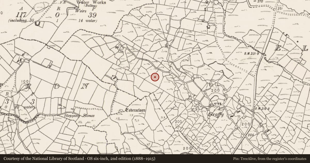 Ordnance Survey six-inch map, 2nd edition (1888–1915) covering the location of Enclosure, Graffy (Gallen By., Kilgarvan Par.), County Mayo, with a pin at the register's coordinates