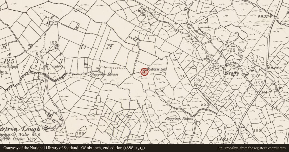 Ordnance Survey six-inch map, 2nd edition (1888–1915) covering the location of Ritual site - holy well, Cartron (Gallen By., Attymass Par.), County Mayo, with a pin at the register's coordinates