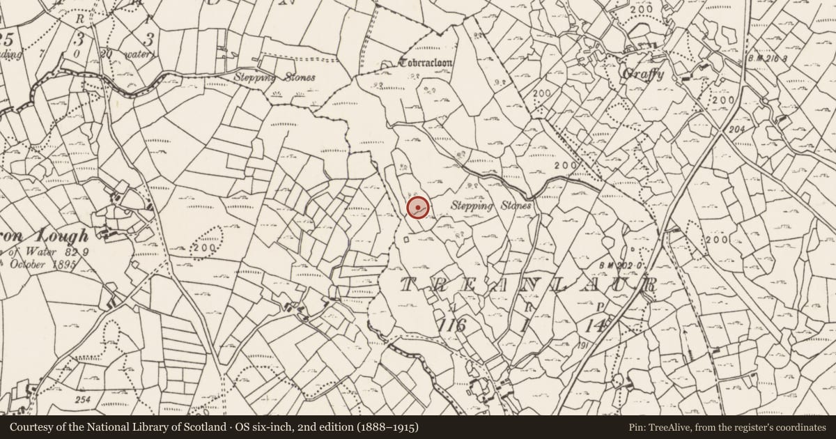 Ordnance Survey six-inch map, 2nd edition (1888–1915) covering the location of Ringfort - unclassified, Treanlaur (Gallen By., Attymass Par.), County Mayo, with a pin at the register's coordinates