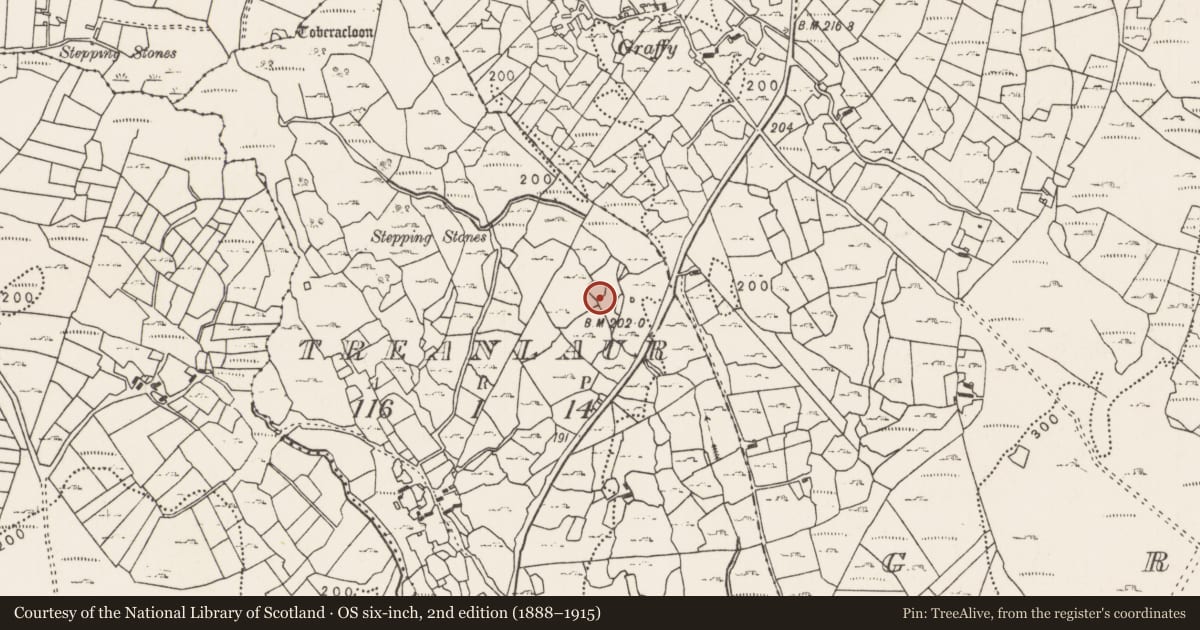 Ordnance Survey six-inch map, 2nd edition (1888–1915) covering the location of Enclosure, Treanlaur (Gallen By., Attymass Par.), County Mayo, with a pin at the register's coordinates