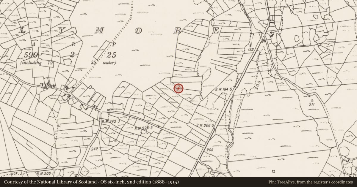 Ordnance Survey six-inch map, 2nd edition (1888–1915) covering the location of Ringfort - cashel, Ballymore, County Mayo, with a pin at the register's coordinates