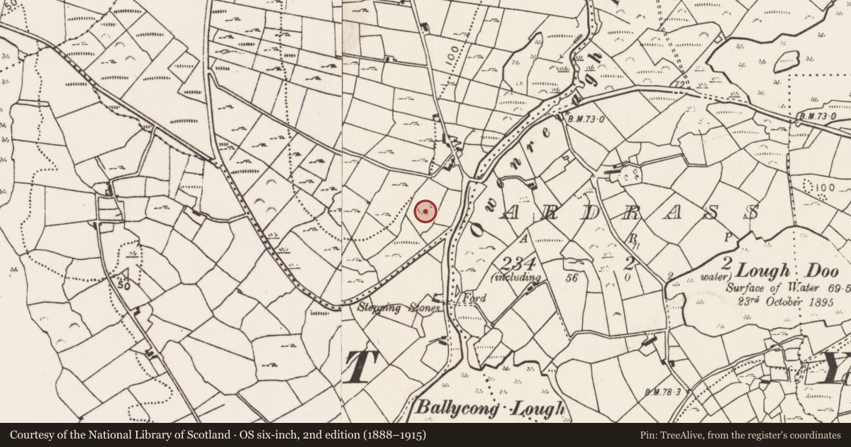 Ordnance Survey six-inch map, 2nd edition (1888–1915) covering the location of Enclosure, Mullaghawny, County Mayo, with a pin at the register's coordinates