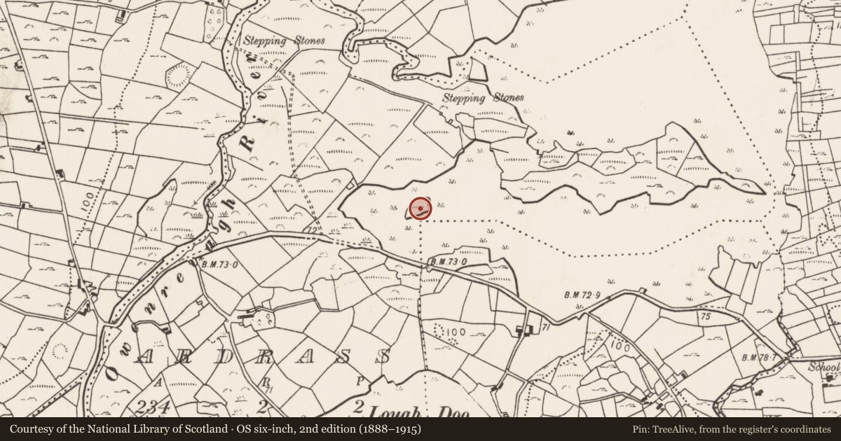 Ordnance Survey six-inch map, 2nd edition (1888–1915) covering the location of Crannog, Ardrass, County Mayo, with a pin at the register's coordinates