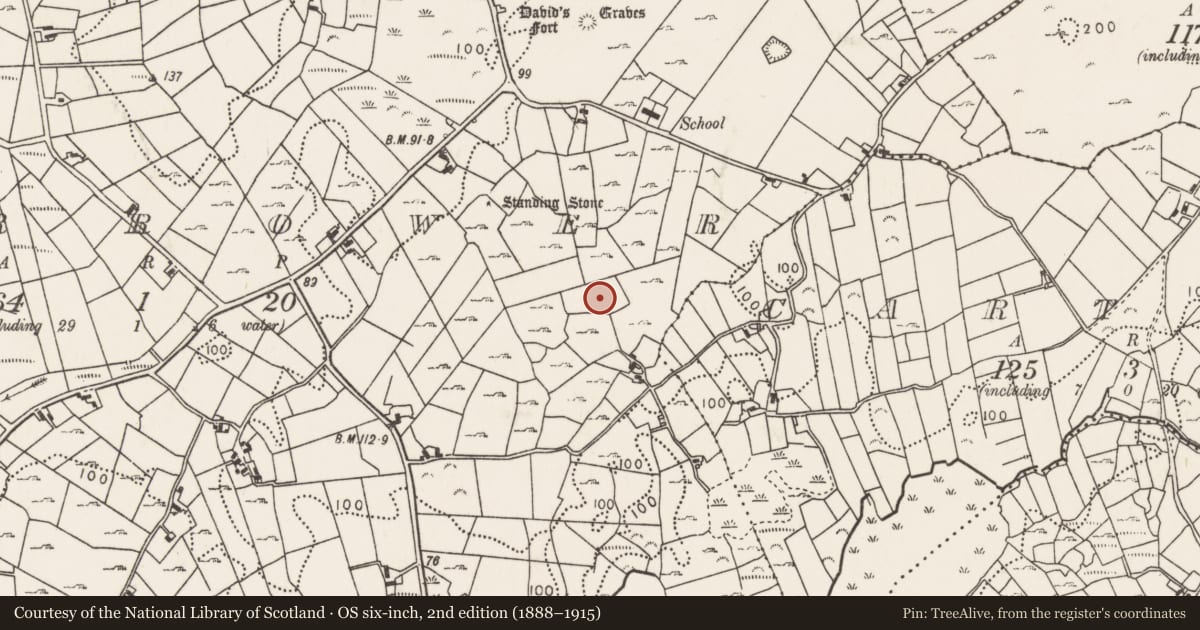 Ordnance Survey six-inch map, 2nd edition (1888–1915) covering the location of Standing stone - pair, Corrower, County Mayo, with a pin at the register's coordinates