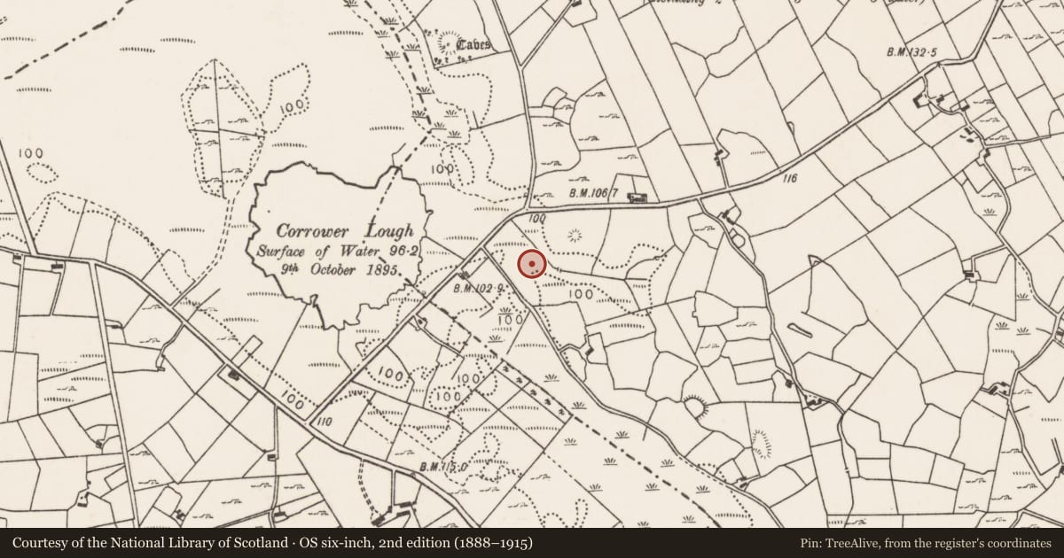 Ordnance Survey six-inch map, 2nd edition (1888–1915) covering the location of Burnt mound, Carrowcastle (Gallen By., Kilgarvan Par.), County Mayo, with a pin at the register's coordinates