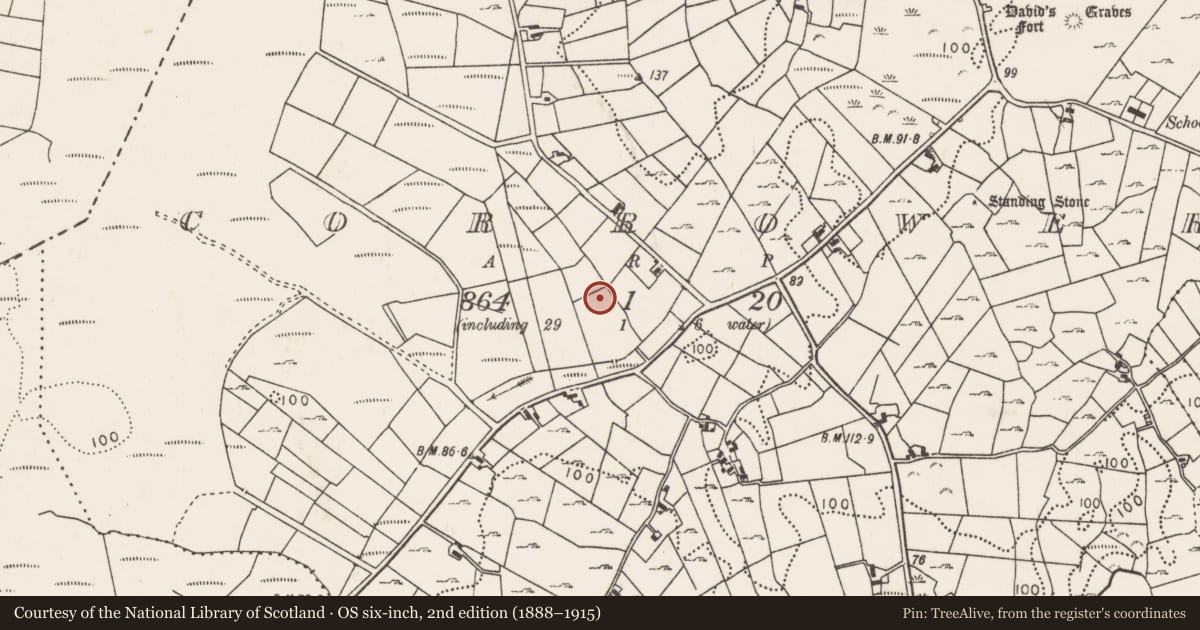 Ordnance Survey six-inch map, 2nd edition (1888–1915) covering the location of Fulacht fia, Corrower, County Mayo, with a pin at the register's coordinates