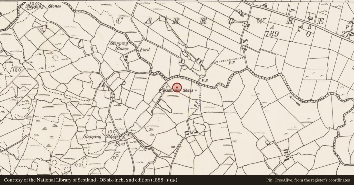 Ordnance Survey six-inch map, 2nd edition (1888–1915) covering the location of Standing stone, Carrowcrom, County Mayo, with a pin at the register's coordinates