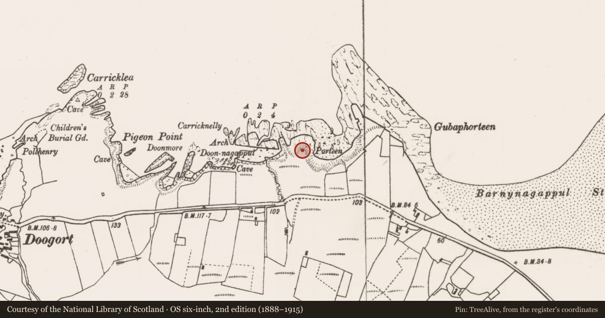 Ordnance Survey six-inch map, 2nd edition (1888–1915) covering the location of Cist, Doogort East, County Mayo, with a pin at the register's coordinates