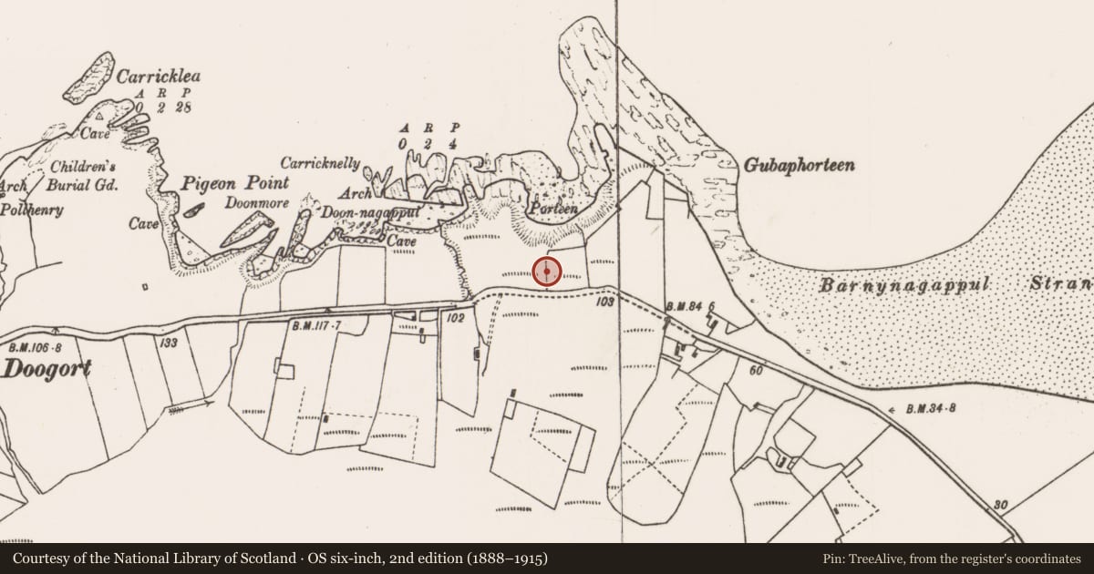 Ordnance Survey six-inch map, 2nd edition (1888–1915) covering the location of Field system, Doogort East, County Mayo, with a pin at the register's coordinates