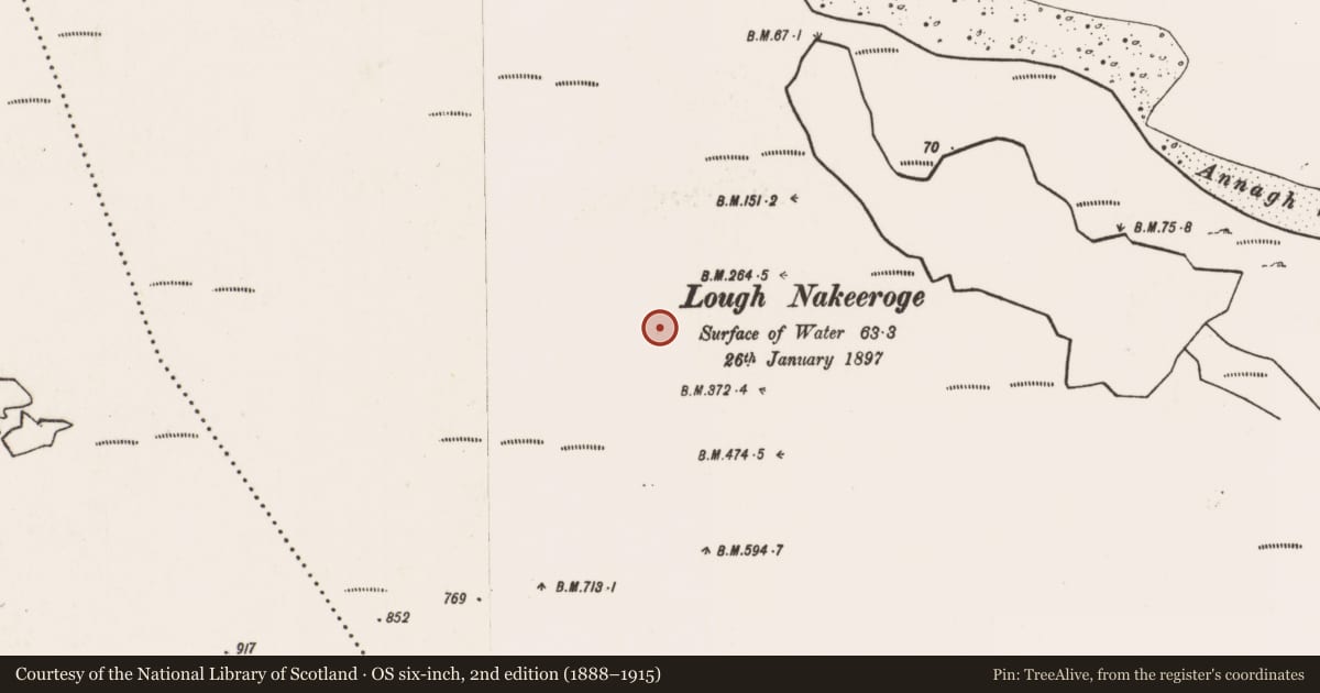 Ordnance Survey six-inch map, 2nd edition (1888–1915) covering the location of Stone circle, Slievemore, County Mayo, with a pin at the register's coordinates
