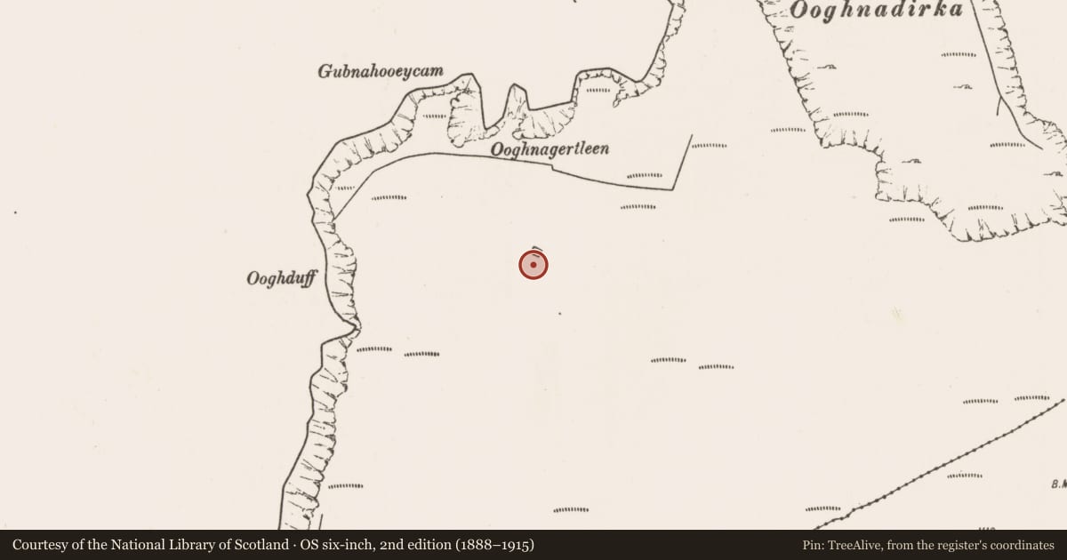 Ordnance Survey six-inch map, 2nd edition (1888–1915) covering the location of Souterrain, Doogort West, County Mayo, with a pin at the register's coordinates