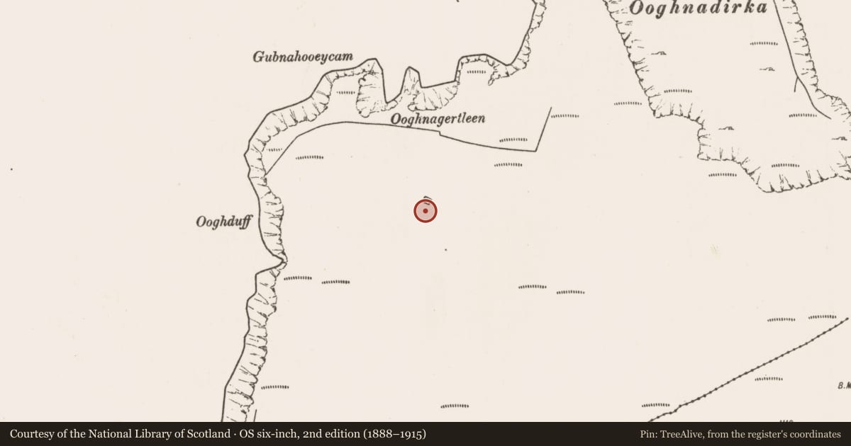 Ordnance Survey six-inch map, 2nd edition (1888–1915) covering the location of Settlement cluster, Doogort West, County Mayo, with a pin at the register's coordinates