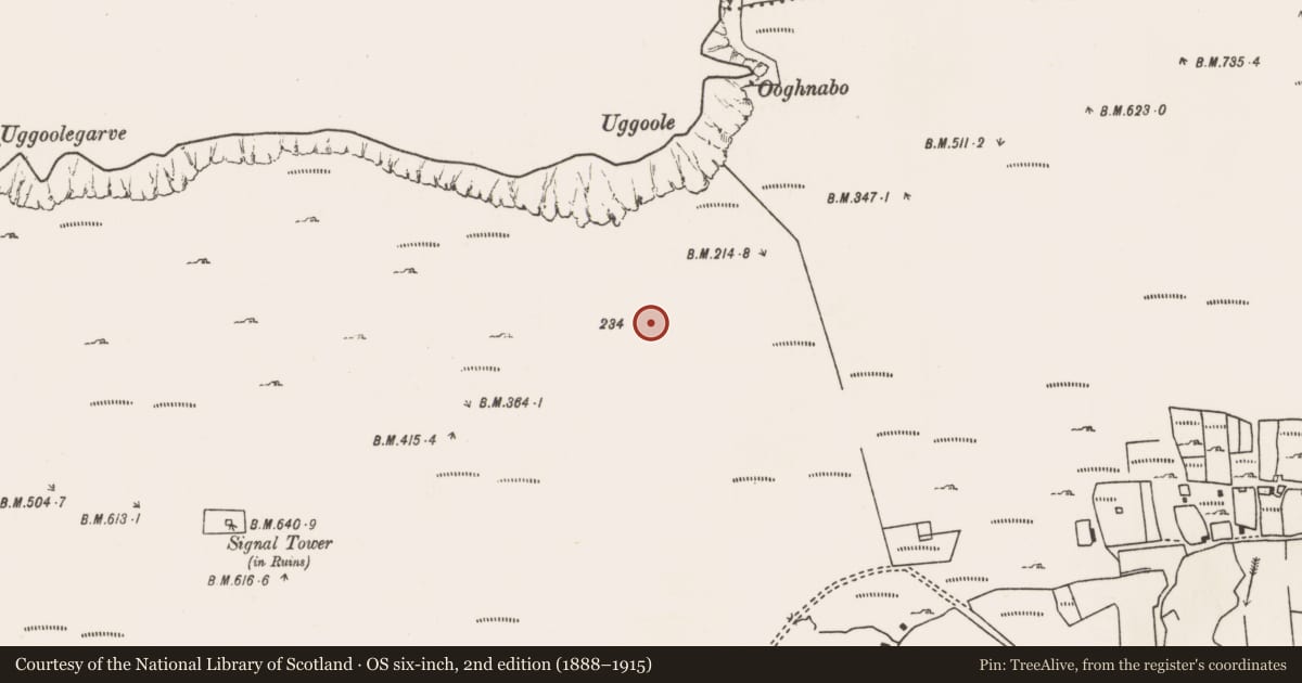 Ordnance Survey six-inch map, 2nd edition (1888–1915) covering the location of Standing stone, Slievemore, County Mayo, with a pin at the register's coordinates