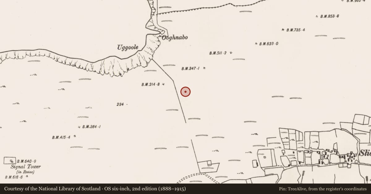 Ordnance Survey six-inch map, 2nd edition (1888–1915) covering the location of Standing stone, Slievemore, County Mayo, with a pin at the register's coordinates