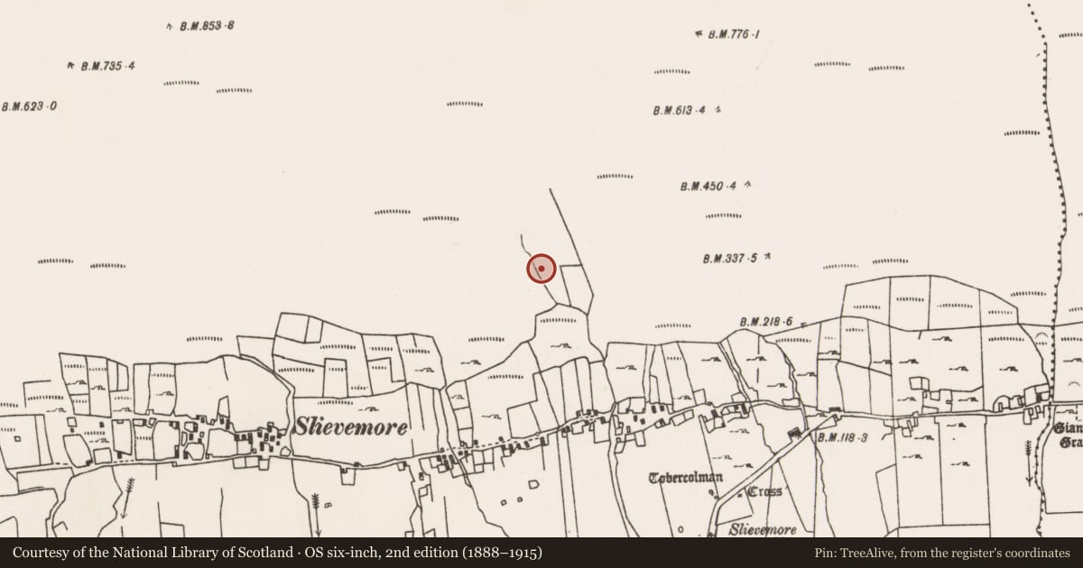 Ordnance Survey six-inch map, 2nd edition (1888–1915) covering the location of Field boundary, Slievemore, County Mayo, with a pin at the register's coordinates