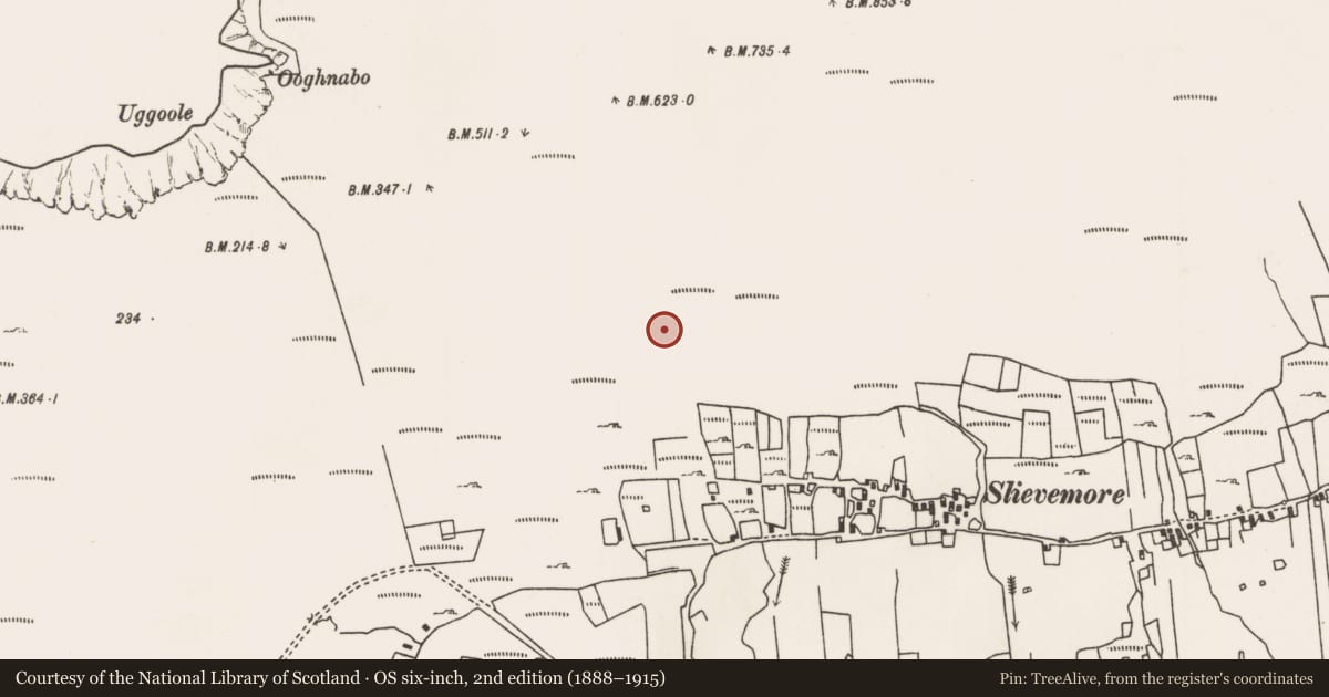 Ordnance Survey six-inch map, 2nd edition (1888–1915) covering the location of House - indeterminate date, Slievemore, County Mayo, with a pin at the register's coordinates