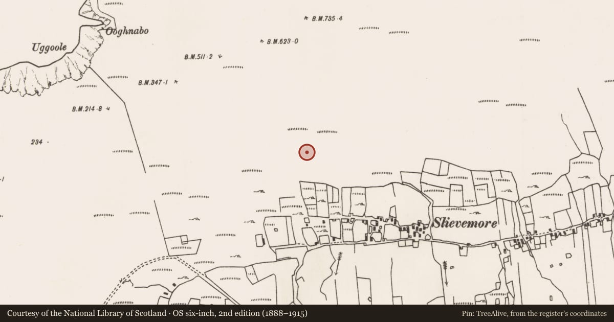 Ordnance Survey six-inch map, 2nd edition (1888–1915) covering the location of House - indeterminate date, Slievemore, County Mayo, with a pin at the register's coordinates