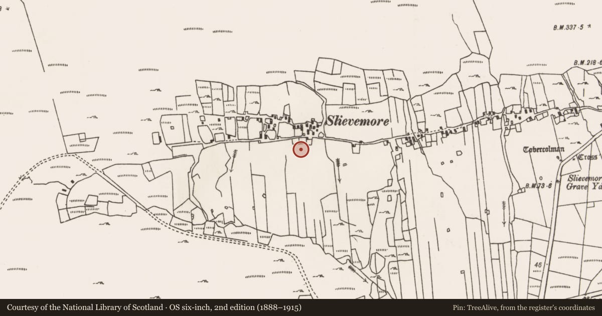 Ordnance Survey six-inch map, 2nd edition (1888–1915) covering the location of Field system, Slievemore, County Mayo, with a pin at the register's coordinates