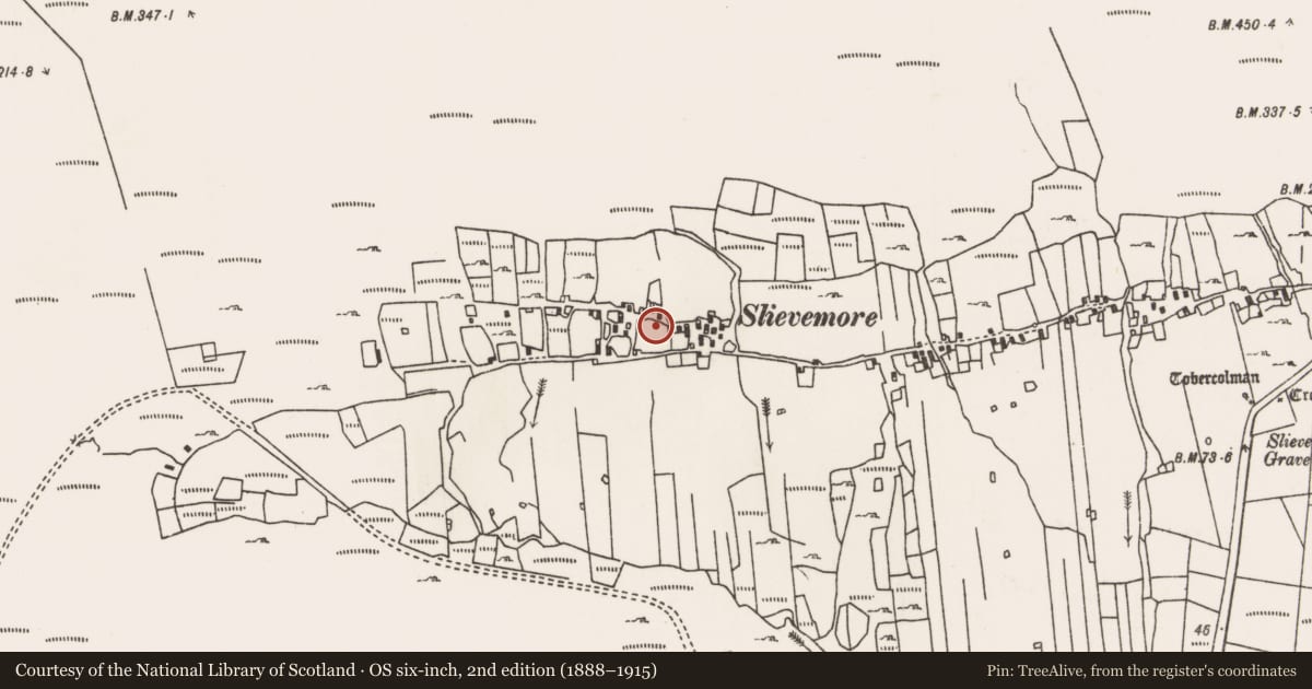 Ordnance Survey six-inch map, 2nd edition (1888–1915) covering the location of Structure, Slievemore, County Mayo, with a pin at the register's coordinates