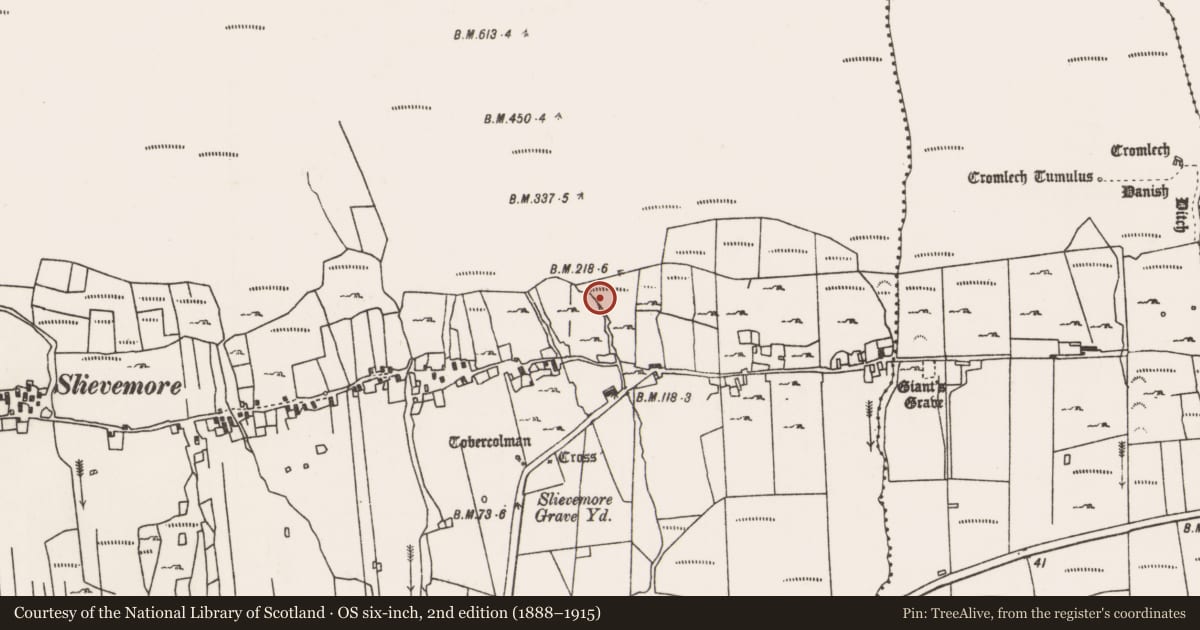 Ordnance Survey six-inch map, 2nd edition (1888–1915) covering the location of Megalithic tomb - unclassified, Slievemore, County Mayo, with a pin at the register's coordinates