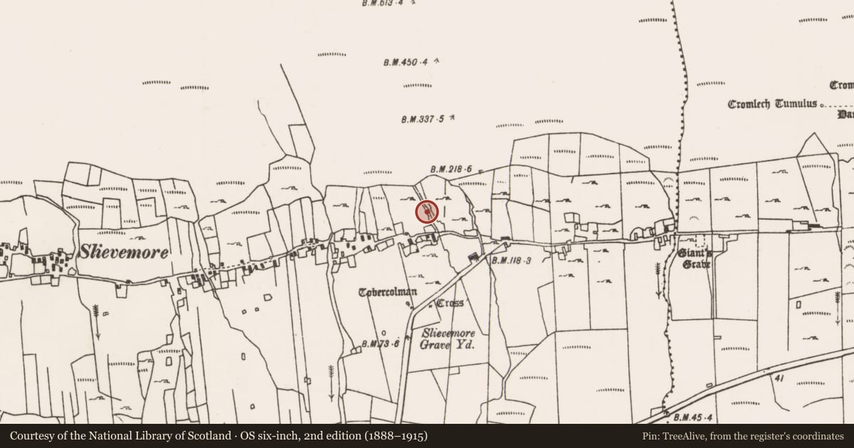 Ordnance Survey six-inch map, 2nd edition (1888–1915) covering the location of Road - road/trackway, Slievemore, County Mayo, with a pin at the register's coordinates
