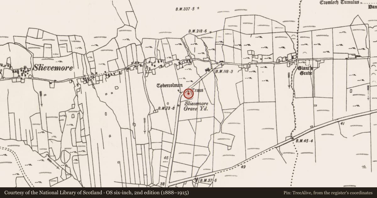 Ordnance Survey six-inch map, 2nd edition (1888–1915) covering the location of Cross, Slievemore, County Mayo, with a pin at the register's coordinates