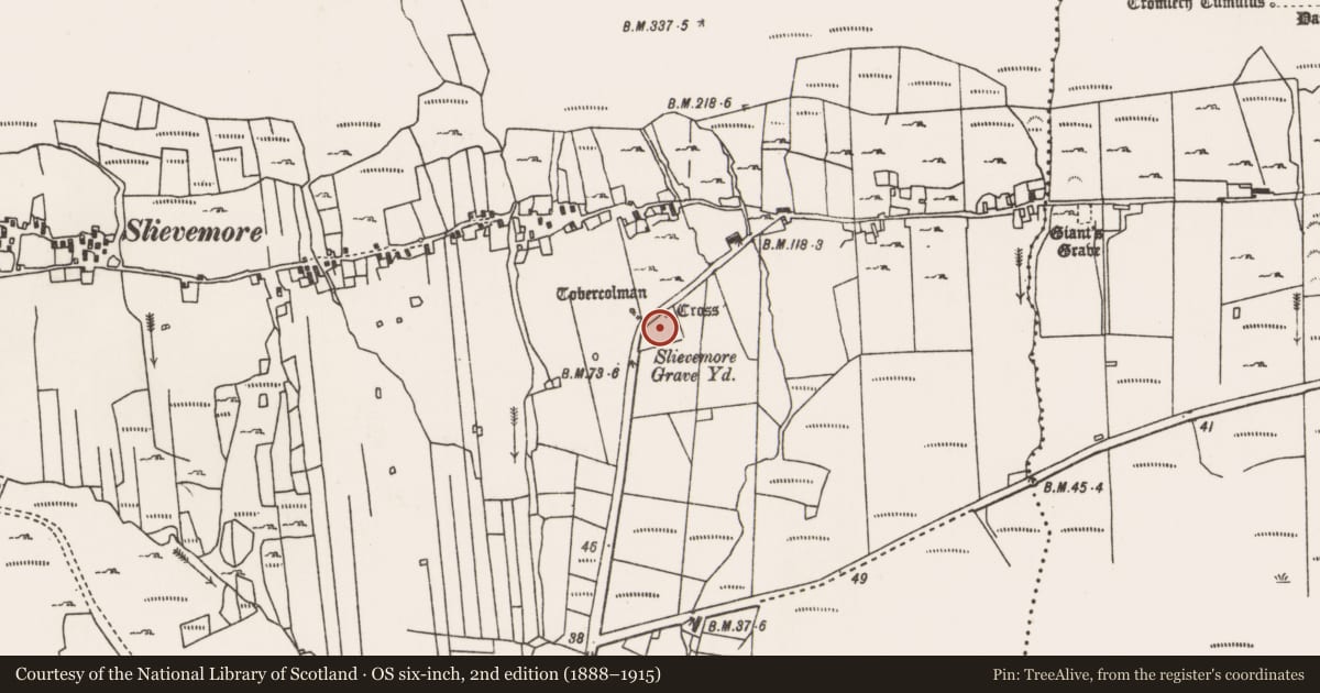 Ordnance Survey six-inch map, 2nd edition (1888–1915) covering the location of Cross, Slievemore, County Mayo, with a pin at the register's coordinates