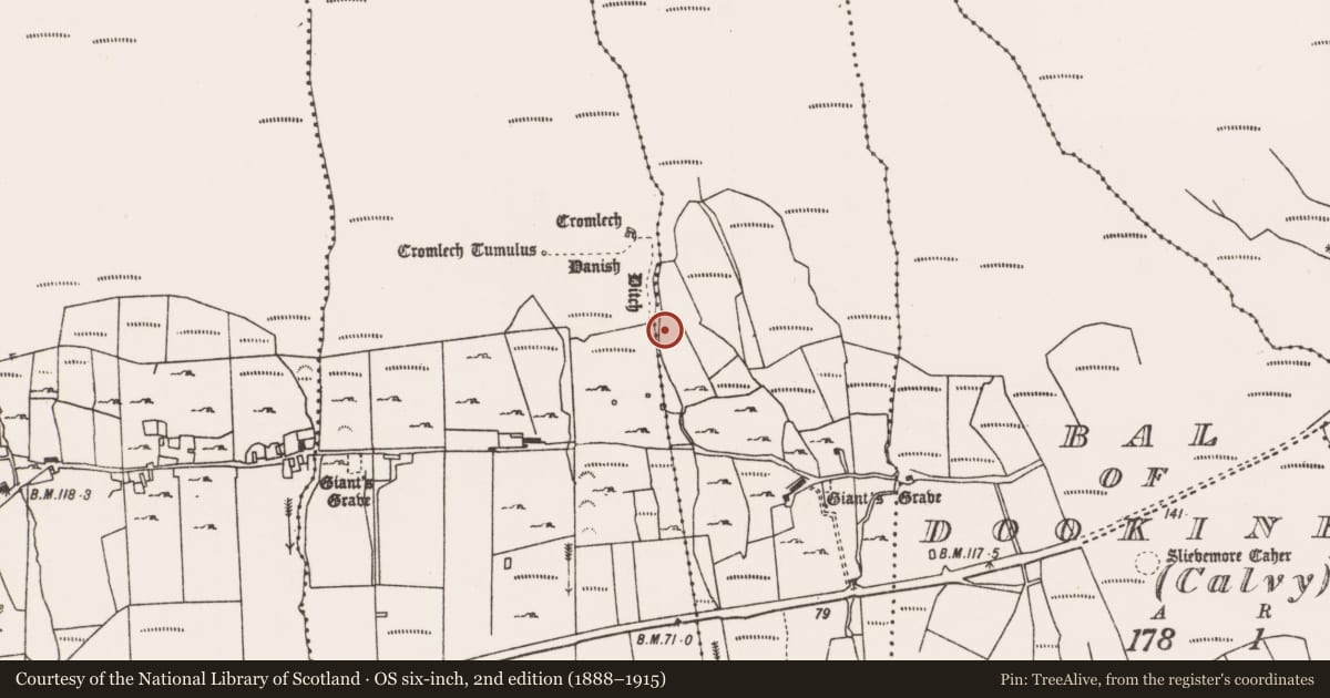 Ordnance Survey six-inch map, 2nd edition (1888–1915) covering the location of Cist, Keel East, County Mayo, with a pin at the register's coordinates