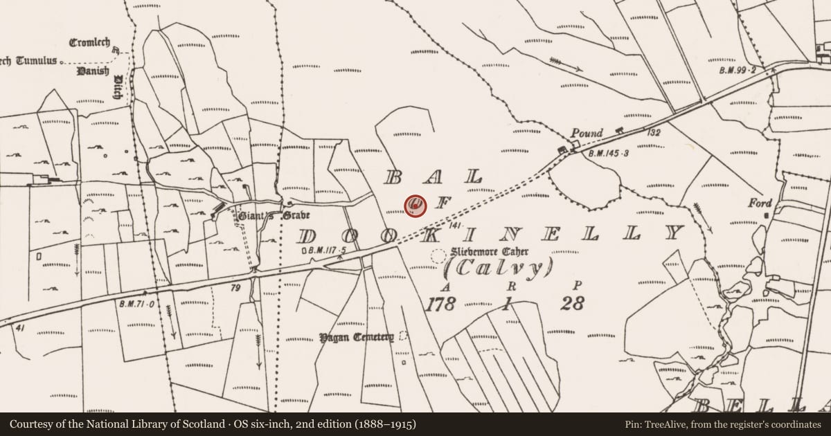 Ordnance Survey six-inch map, 2nd edition (1888–1915) covering the location of Field boundary, Bal of Dookinelly (Calvy), County Mayo, with a pin at the register's coordinates